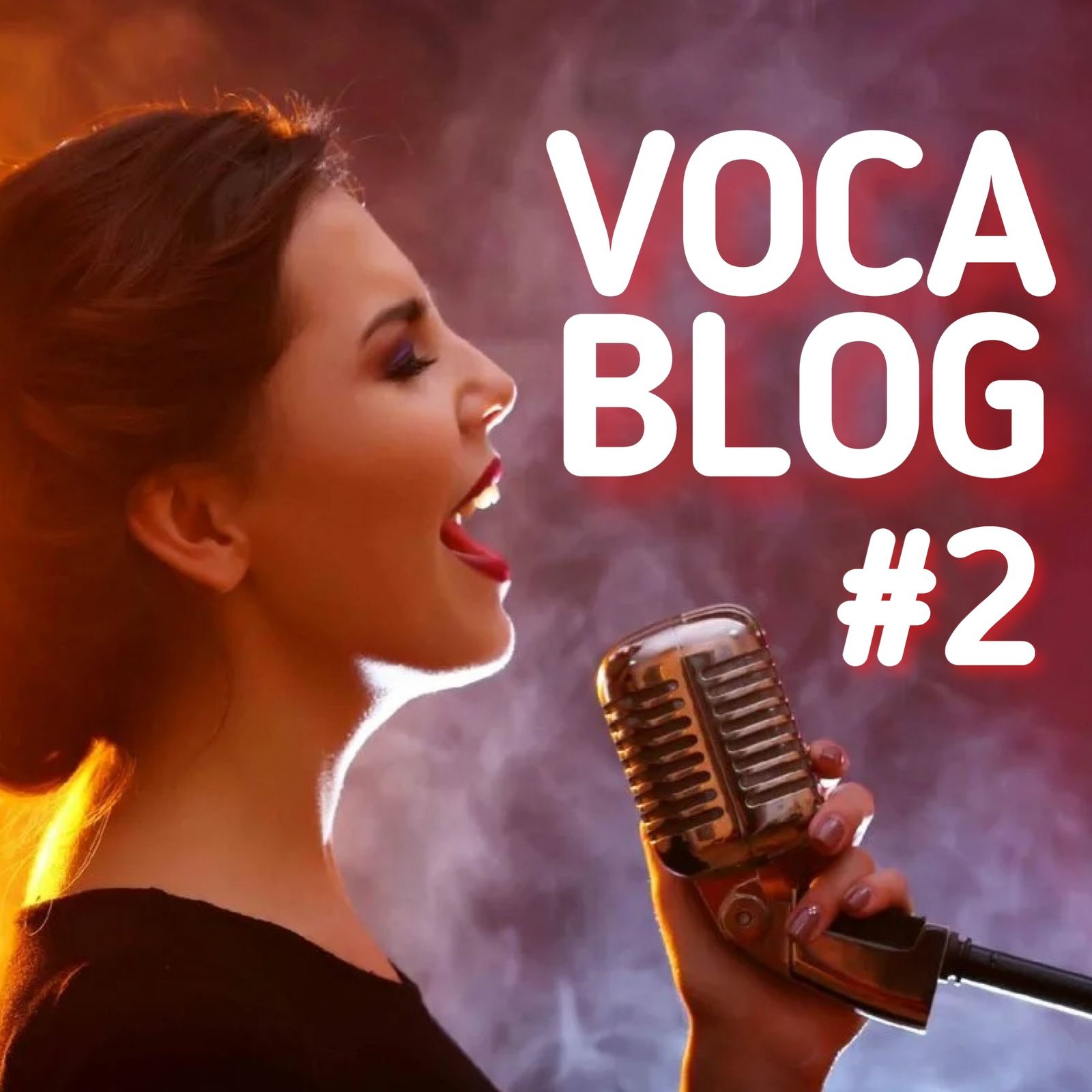 Инструкция: как пользоваться Voca-Stock?