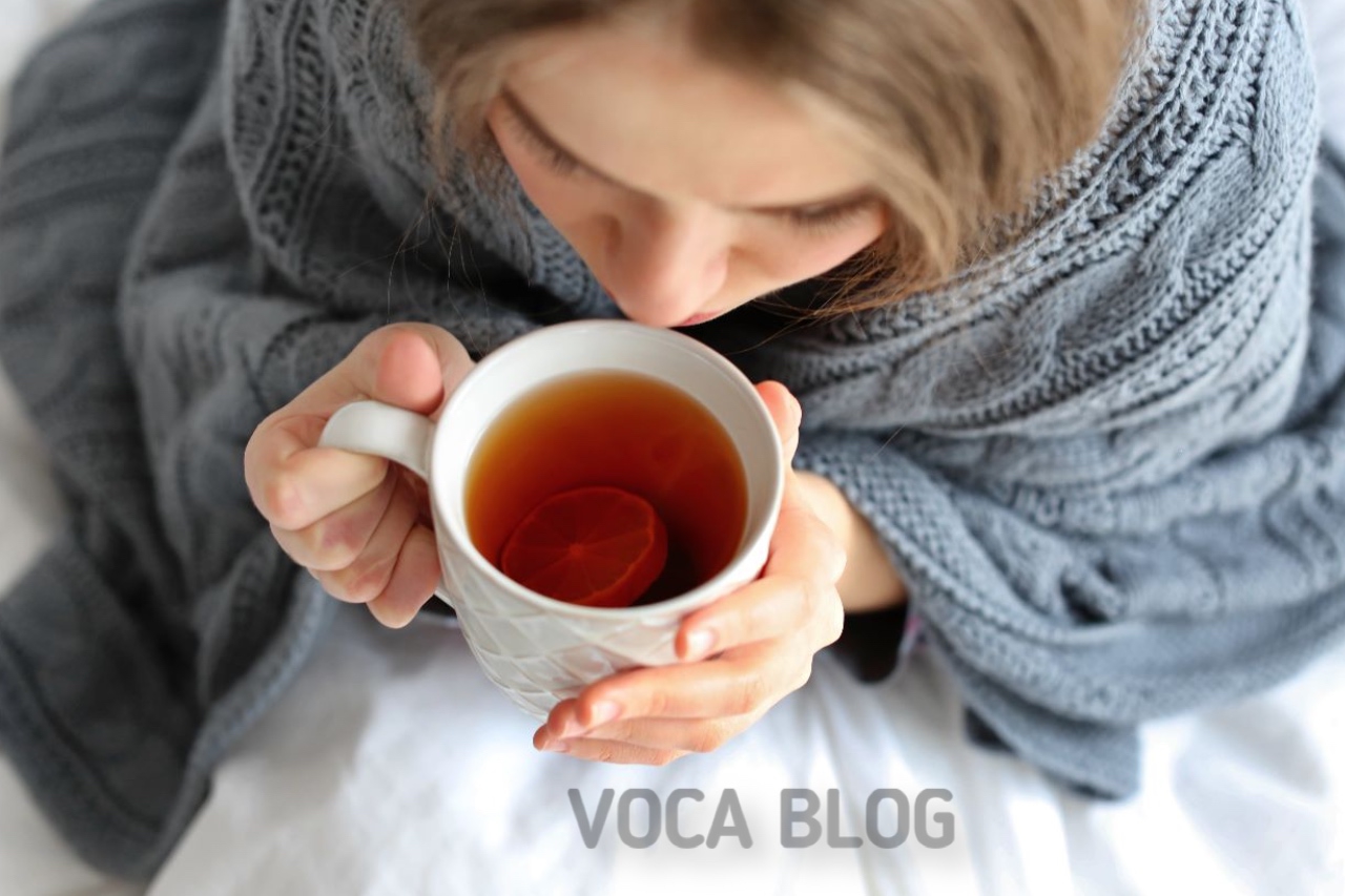 Как восстановить голос после новогодних праздников? voca.dev-top-it.ru