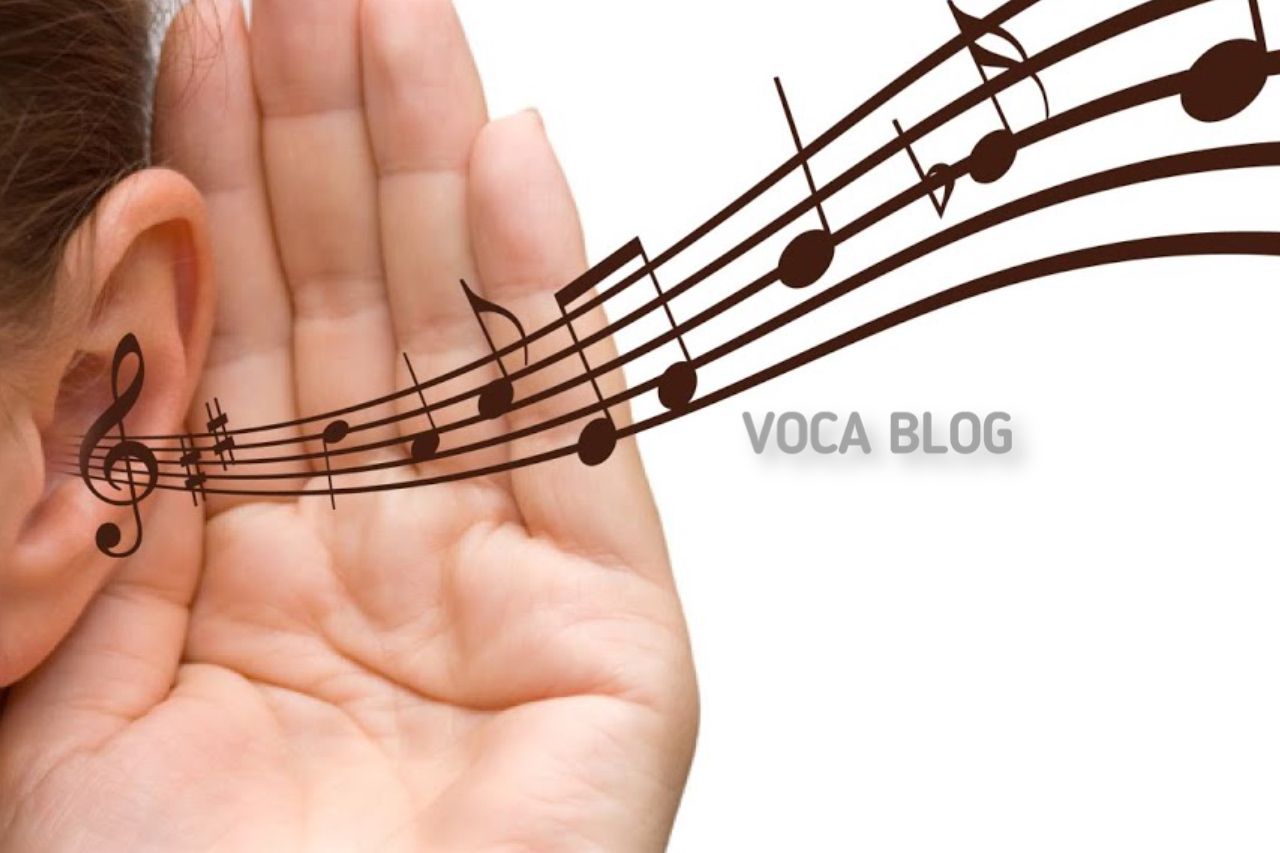 Упражнения для слуха voca.dev-top-it.ru