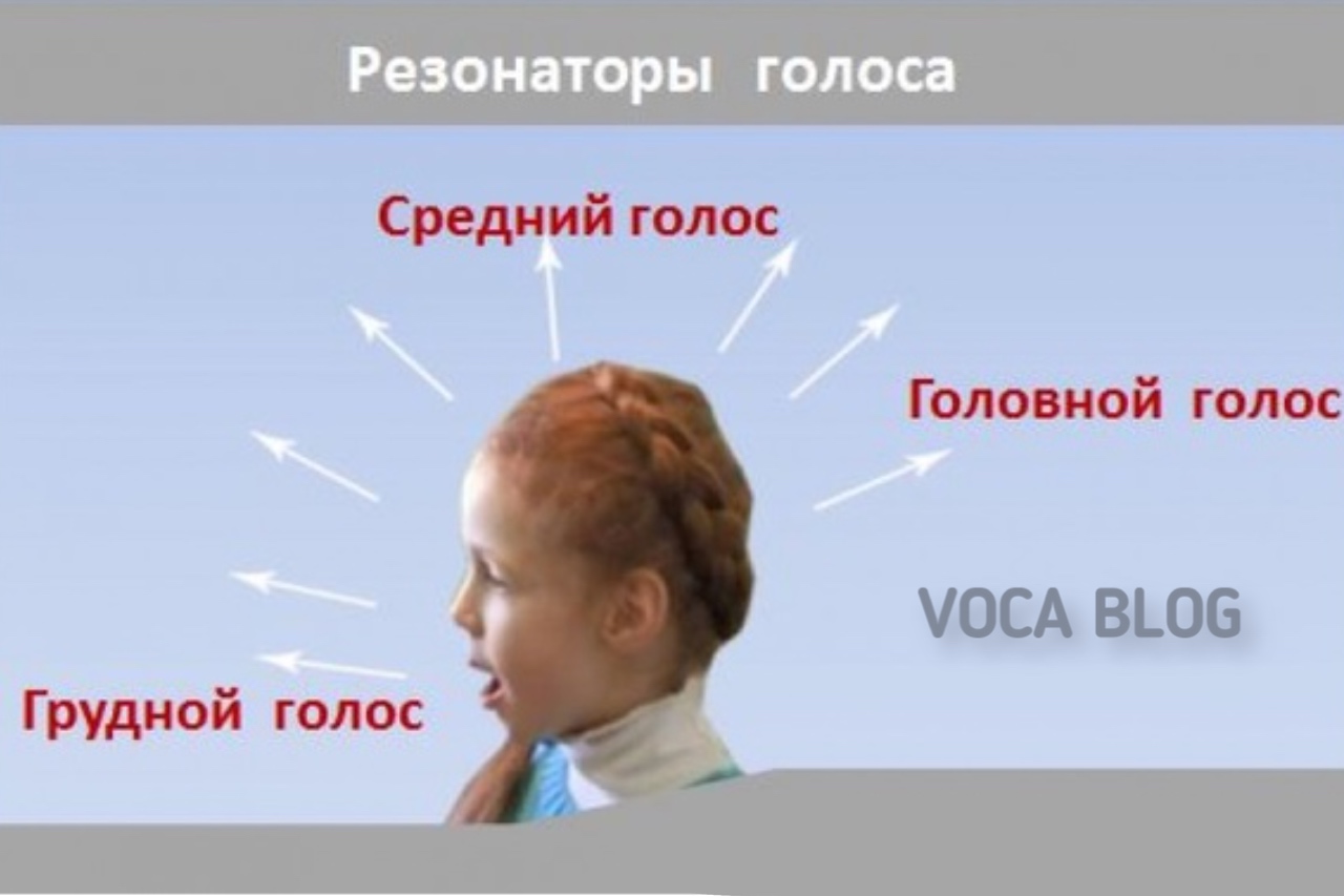 Как развить грудной голос? voca.dev-top-it.ru