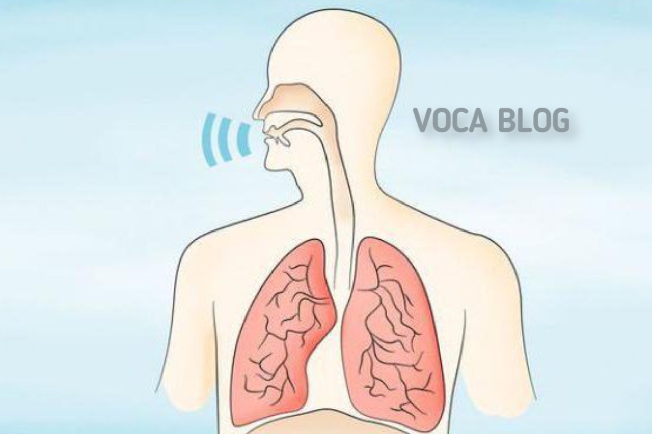 Как развить грудной голос? voca.dev-top-it.ru