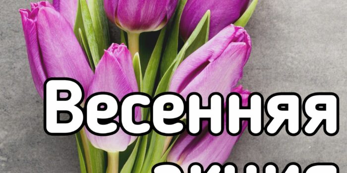 Весенняя акция на VocaStock!