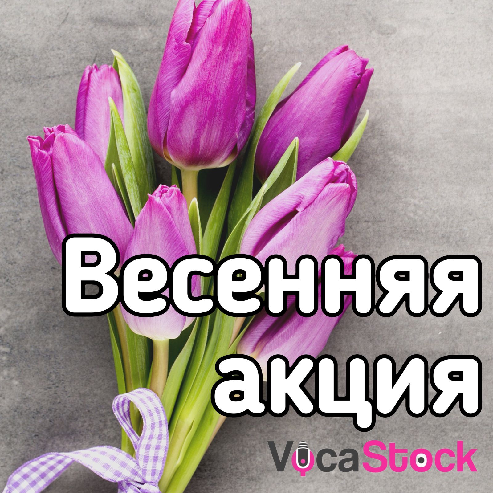 Весенняя акция на VocaStock!